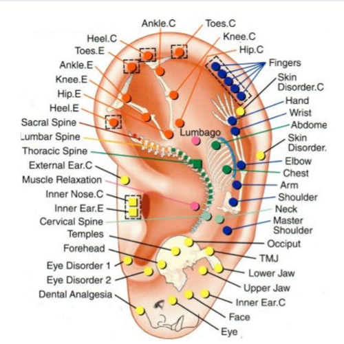 fasttrack ear acupuncture FastTrack Ear Acupuncture