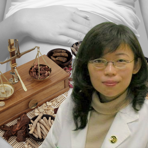 TCM Fertility Support using Acupuncture and Herbs