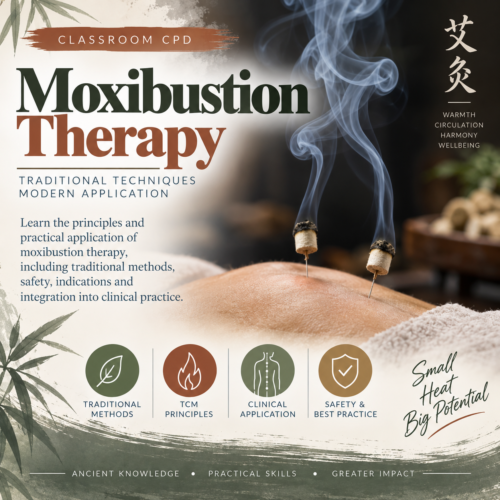 Chinese and Japanese Moxibustion Classroom (1 or 2 day) : Moxibustion Therapy