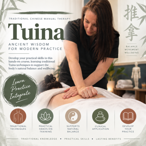 Classroom: (Foundation) Tuina 1 - Medical Massage - Muscles, Tendons and Soft Tissue